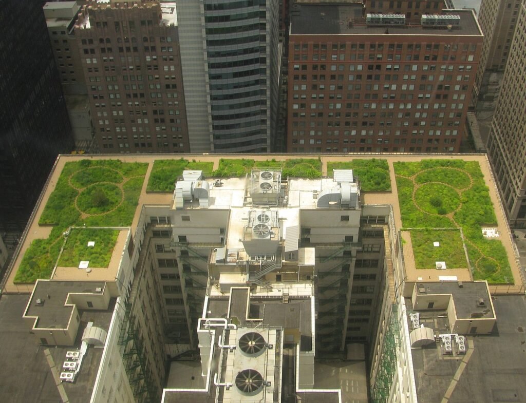 Chicago_City_Hall_green_