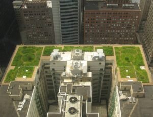 Chicago_City_Hall_green_