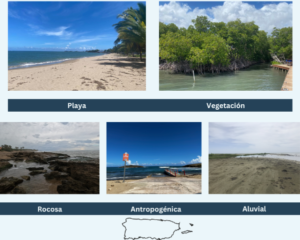 Tipos de costas en Puerto Rico
