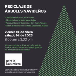 Post Reciclaje árboles navidad