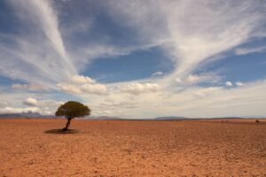 Zona desertica