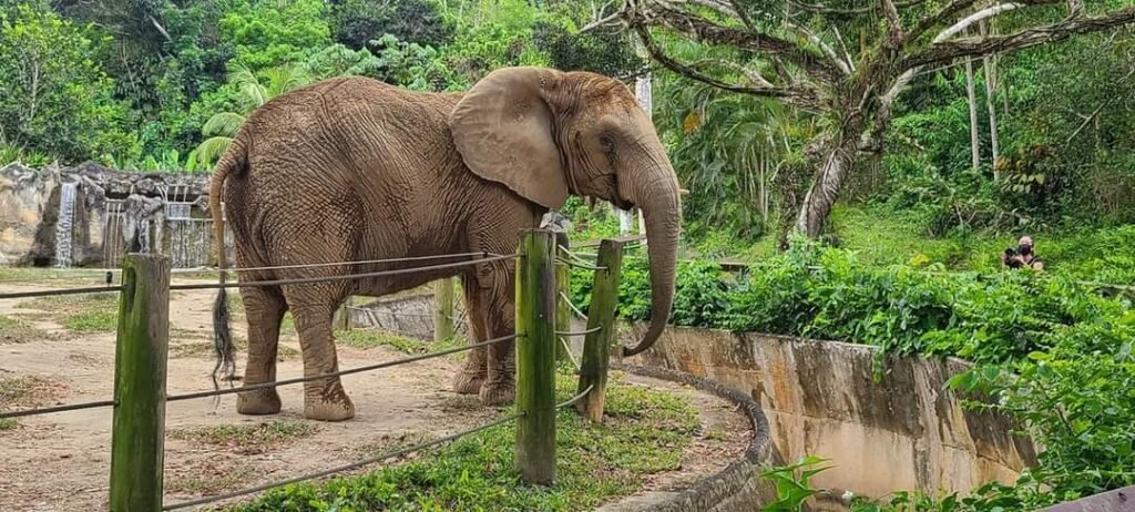 Mundi Zoologico Mayaguez