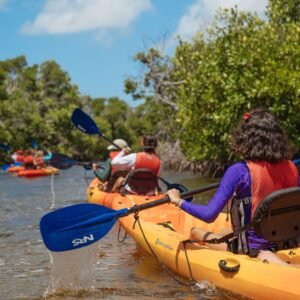 Kayak, Manglar Medio Mundo Daguao