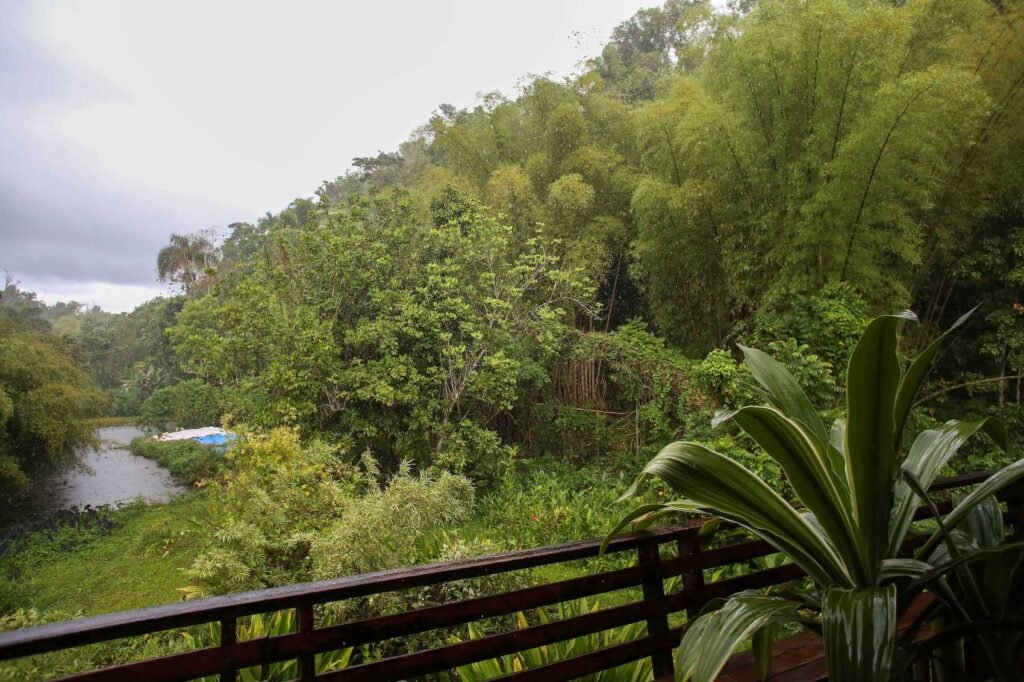 Finca Las Perdices en Ciales