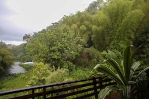 Finca Las Perdices en Ciales