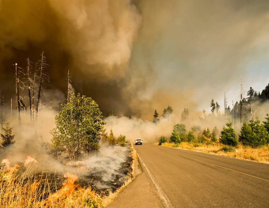 Fuego forestal