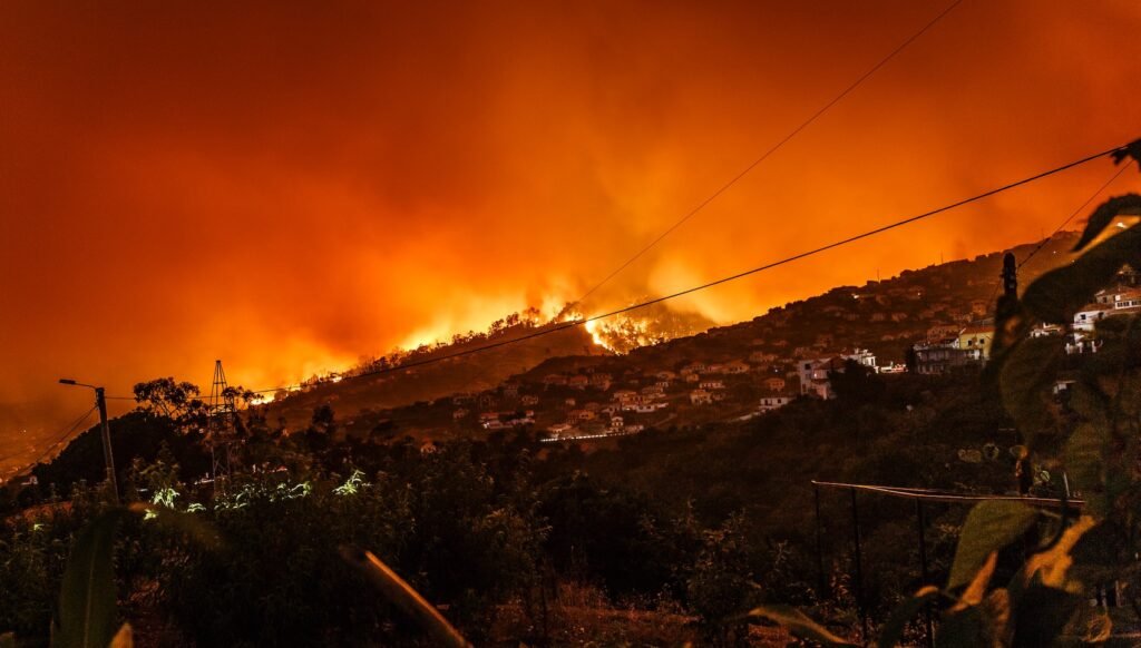 Fuego fortestal