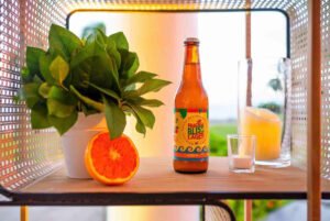 PRadise Bliss Lager