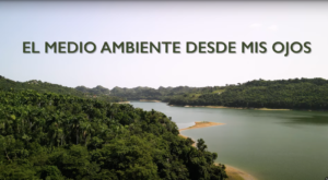 El medio ambiente desde mis ojos