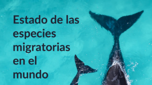 InformeEspeciesMigratorias2024