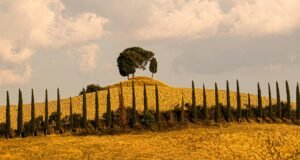 Paisaje seco, Birger Strahl, Unsplash