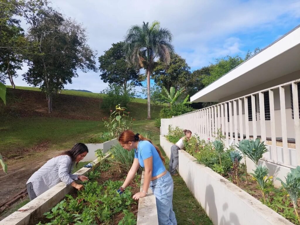 Estudiantes UPRU crean huertos escolares