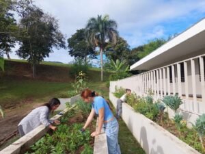 Estudiantes UPRU crean huertos escolares
