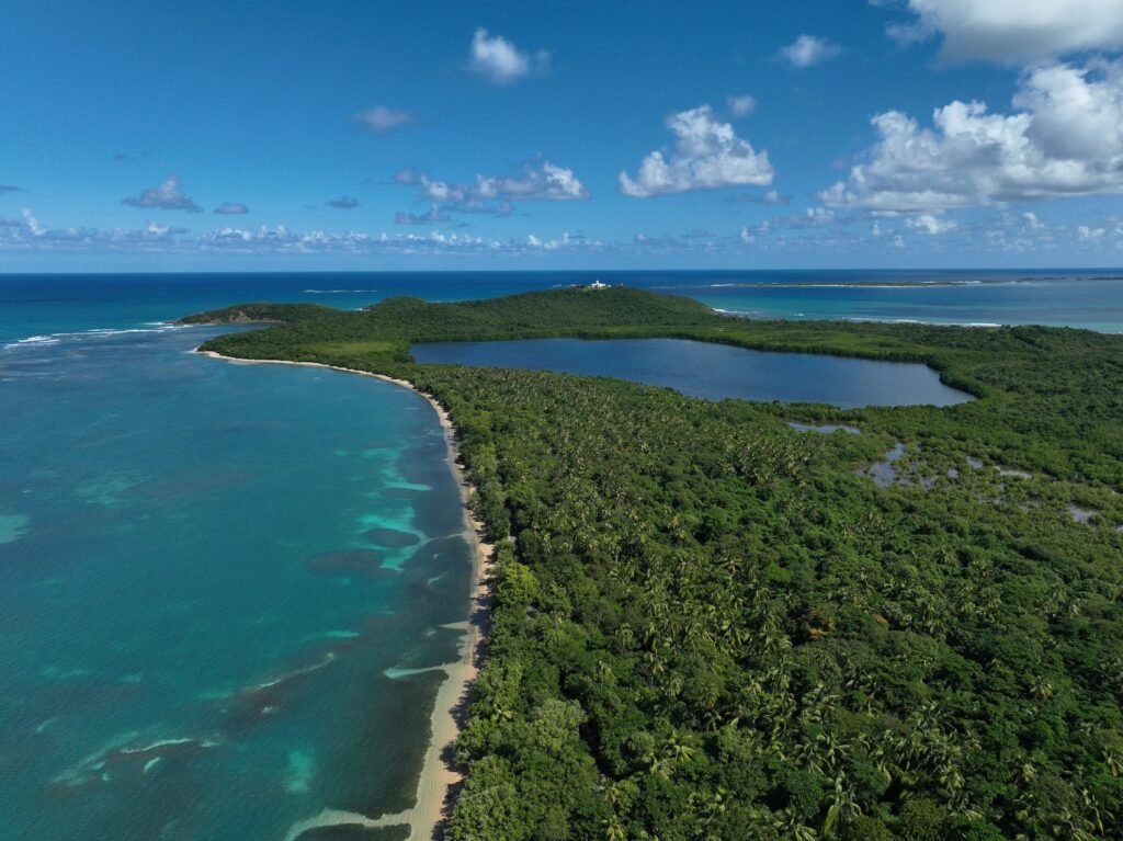 Reserva Natural Cabezas de San Juan, Para la Naturaleza, Suministrada