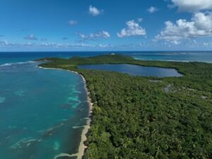 Reserva Natural Cabezas de San Juan, Para la Naturaleza, Suministrada