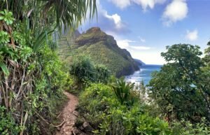Bosque Tropical, Pete Gontier, Unsplash