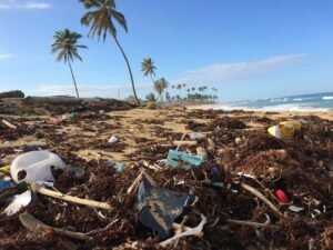 Contaminación en playa, Dustan Wood, Unsplash