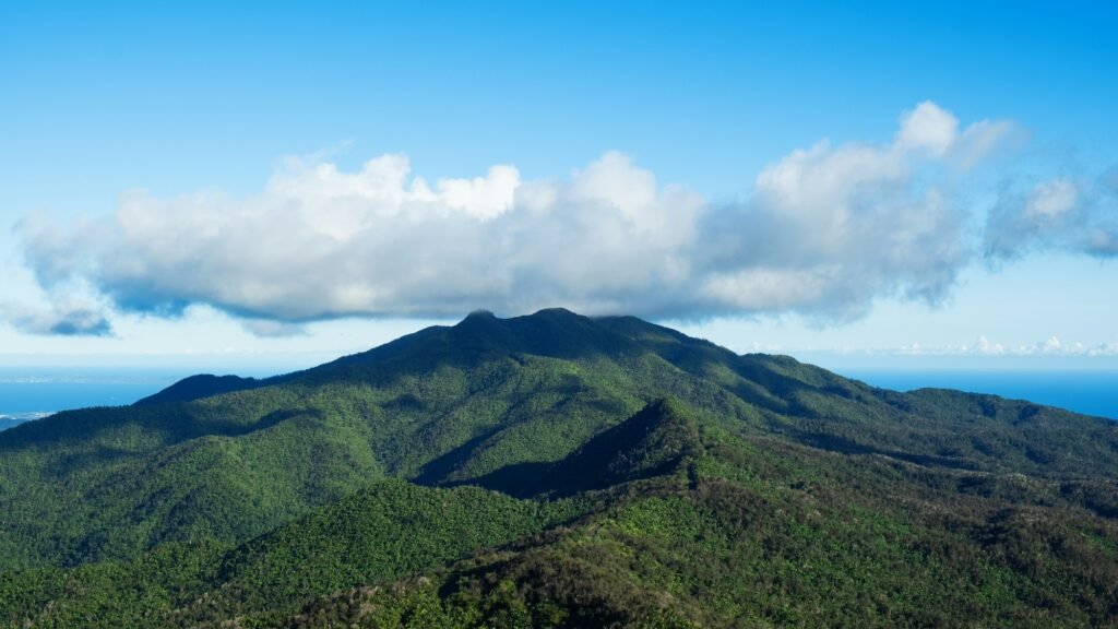 El Yunque, Wenhao Ruan, Unsplash
