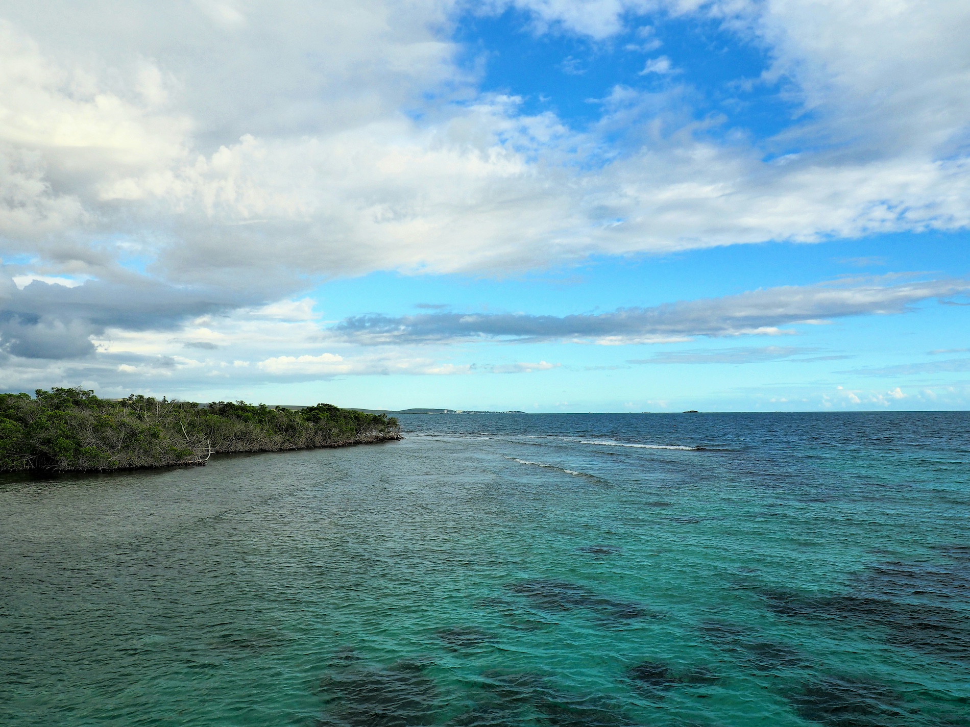 Manglar de La Parguera, Daniel Reyes, Unsplash