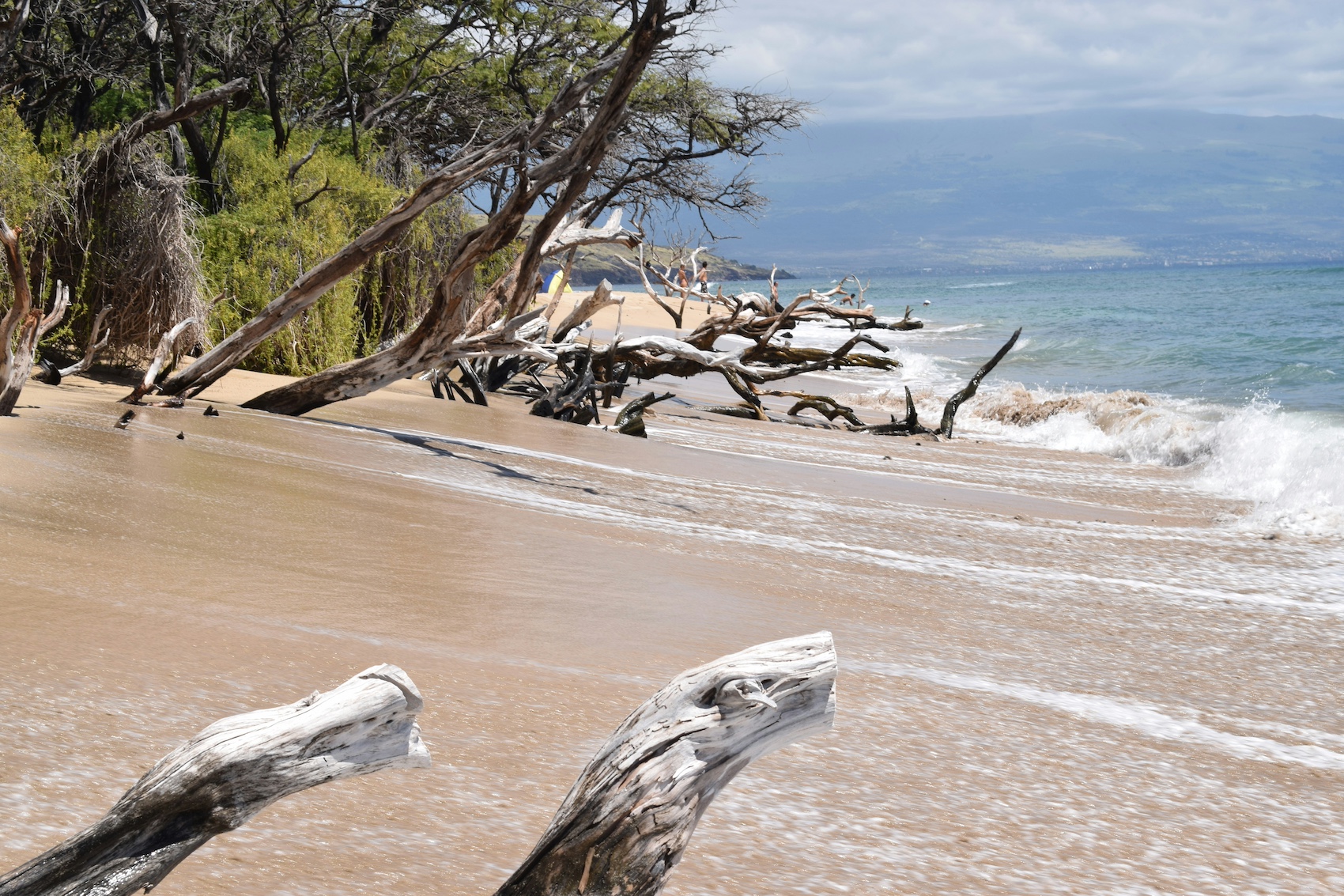 Playa erosionada, Lyle Hastie, Unsplash