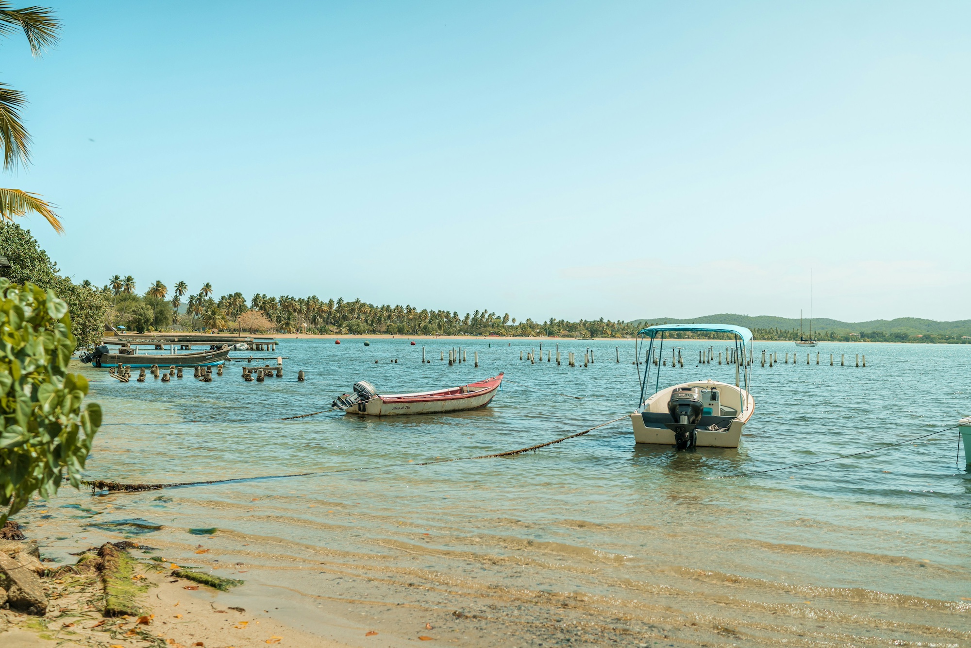 Humedales de Boquerón, Cabo Rojo, Puerto Rico, Eric Ardito, Unsplash.