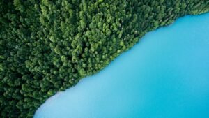 Agua y bosque, Andreas Gucklhorn, Unsplash