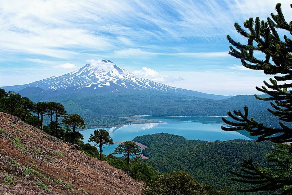 Volcán Llaima, araucarias y lago Conguillio, sendero Sierra Nevada, Parque Nacional Conguillio, por Valgarri, Creative Commons Attribution-Share Alike 4.0 International.