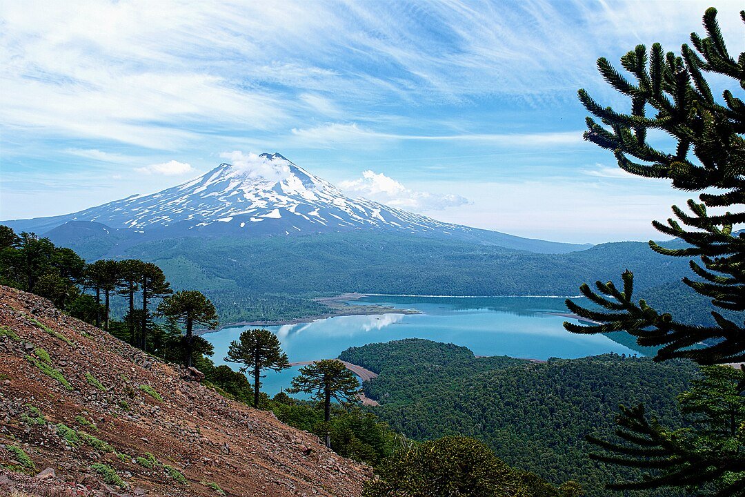 Volcán Llaima, araucarias y lago Conguillio, sendero Sierra Nevada, Parque Nacional Conguillio, por Valgarri, Creative Commons Attribution-Share Alike 4.0 International.