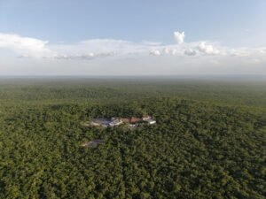 Encuentro Selva Maya, Gobierno de México