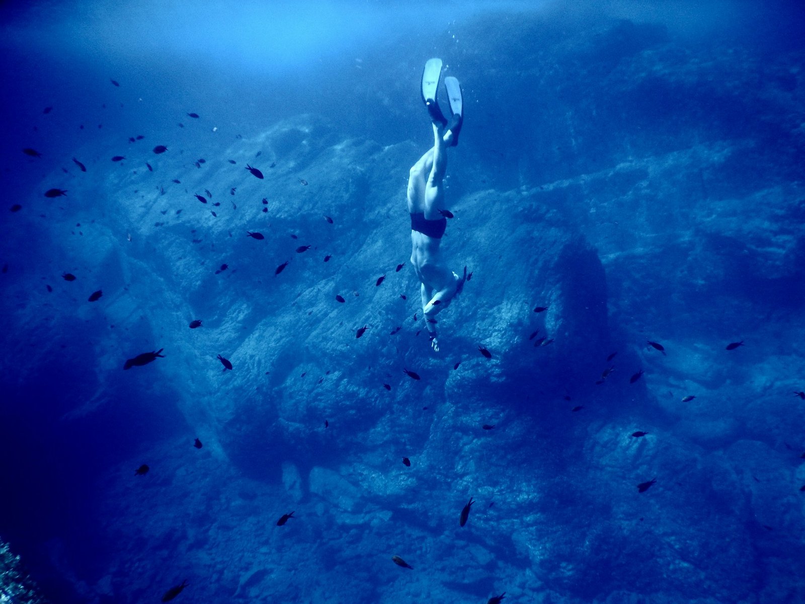 Buceo, Marco Assamann, Unsplash