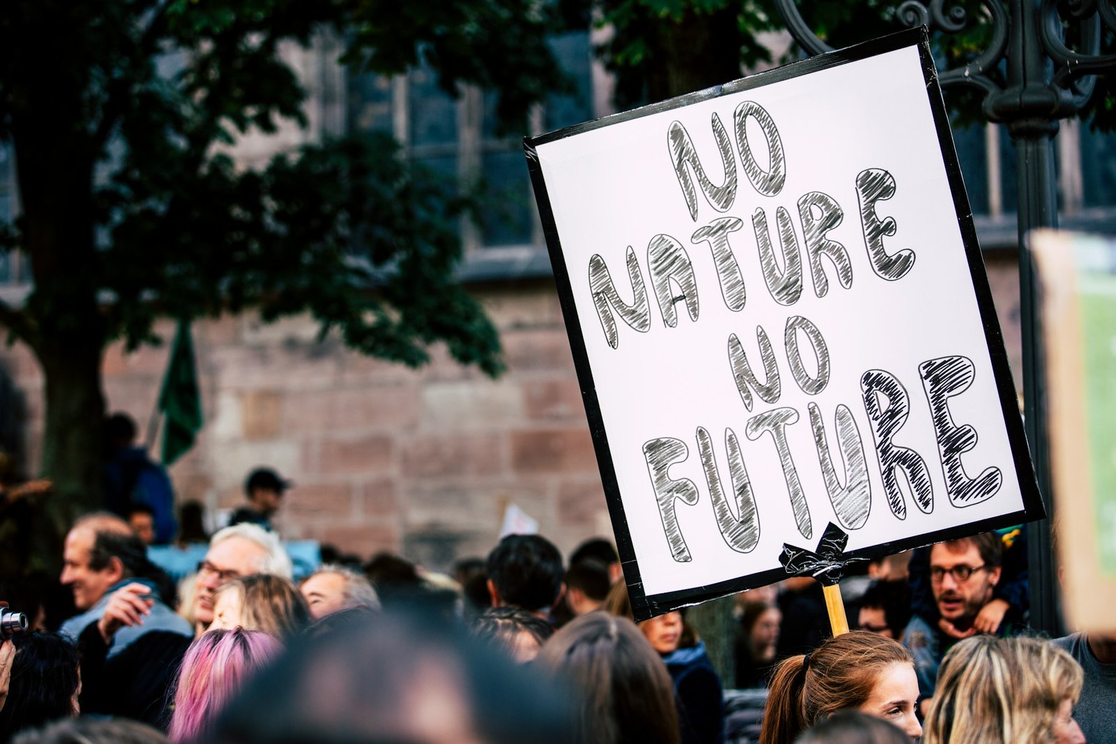 Sin naturaleza no hay futuro, Markus Spiske, Unsplash