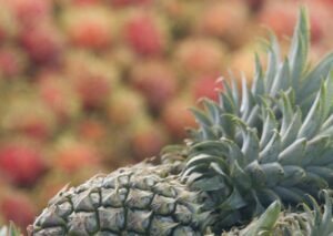 Frutas tropicales, Nina Grafova, Unsplash