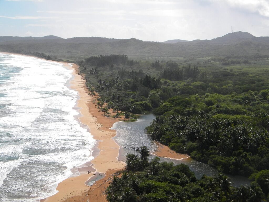 Playa San Miguel, Coalición Pro-CEN - Trabajo propio, CC BY-SA 3.0