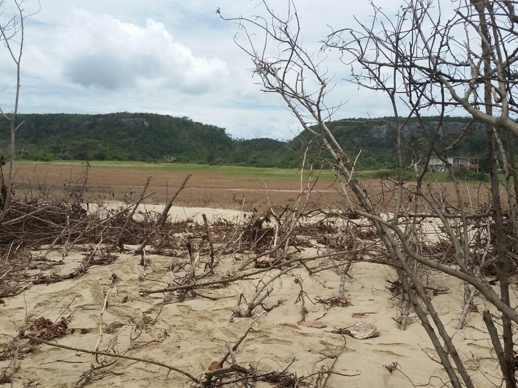 Dunas donde se propone construir Isabela Reefs, Bajuras, Isabela, Puerto Rico, Suministrada por la comunidad.
