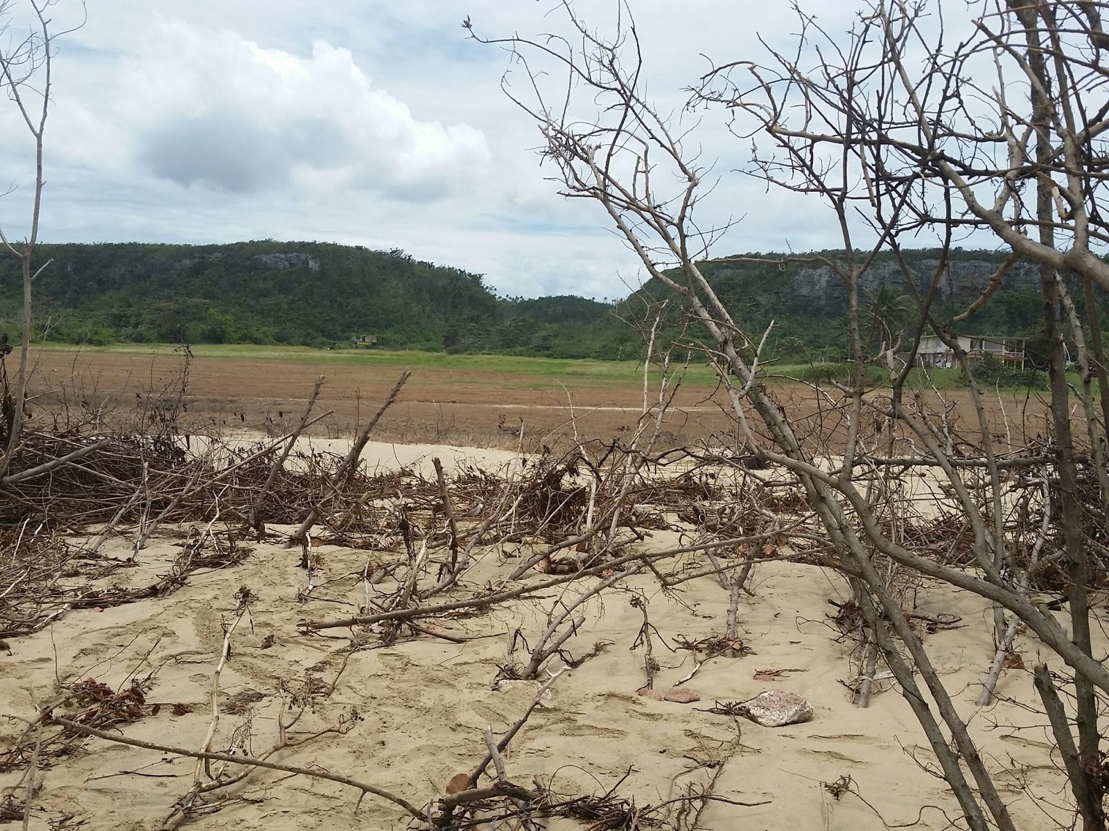 Dunas donde se propone construir Isabela Reefs, Bajuras, Isabela, Puerto Rico, Suministrada por la comunidad.