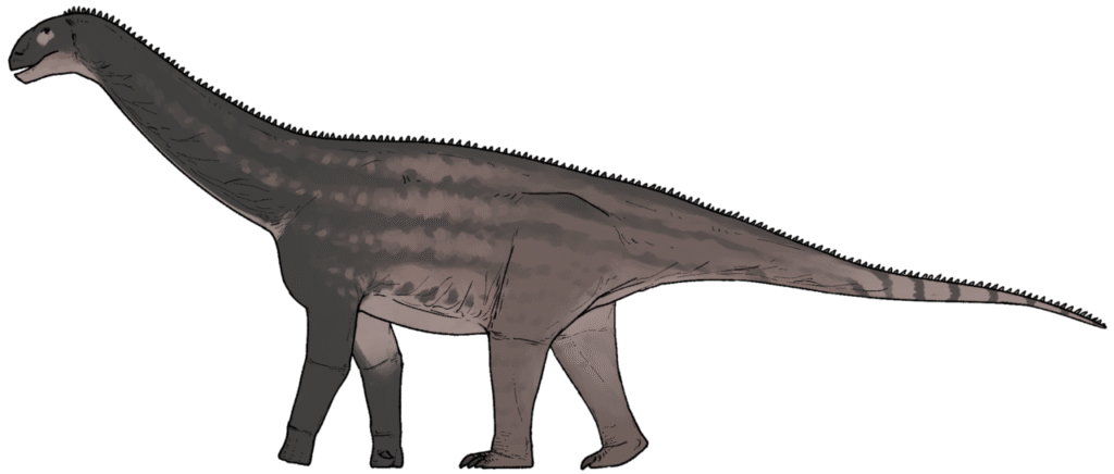 Huashanosaurus_qini