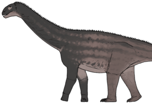 Huashanosaurus_qini