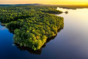Amazonas, Dave Hoefler, Unsplash