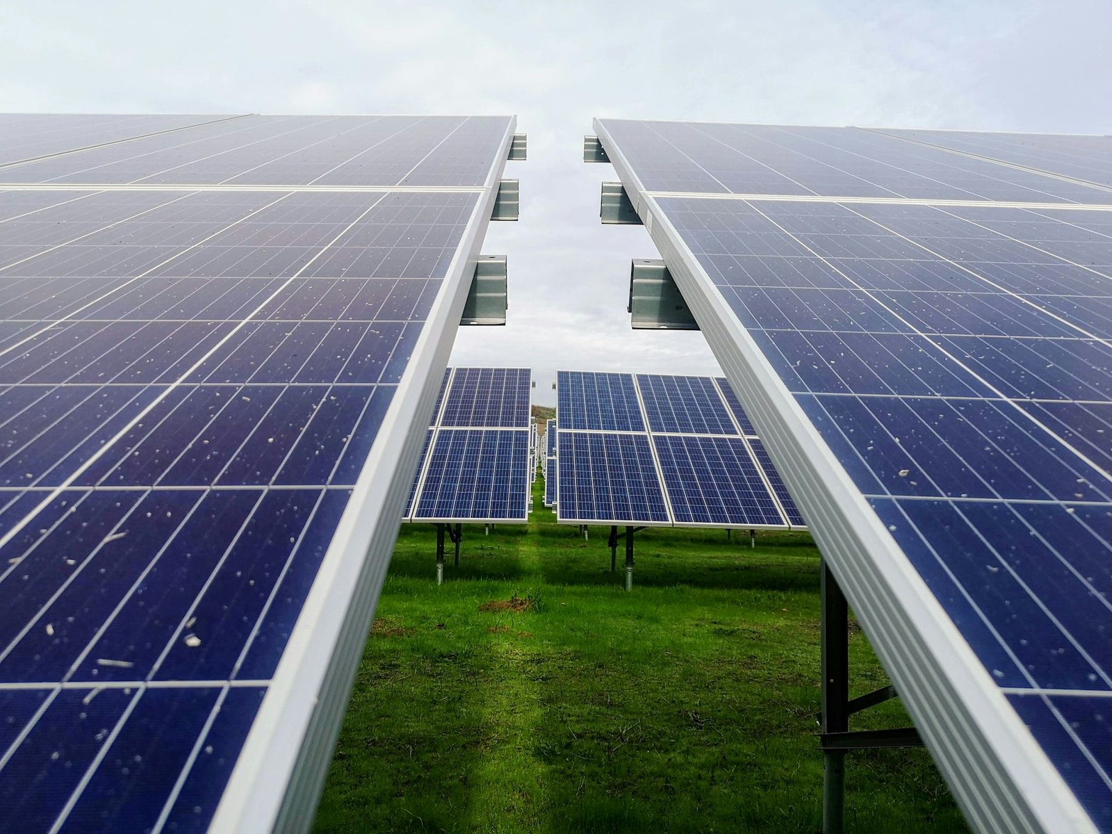 Energía solar, Mariana Proenca, Unsplash