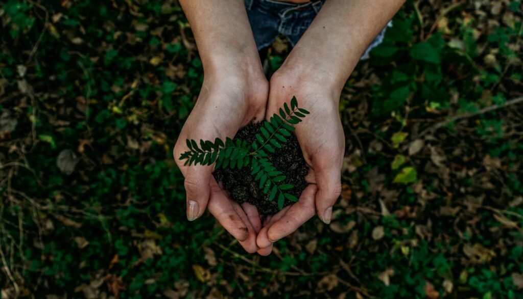 Economía Verde, Noah Buscher, Unsplash