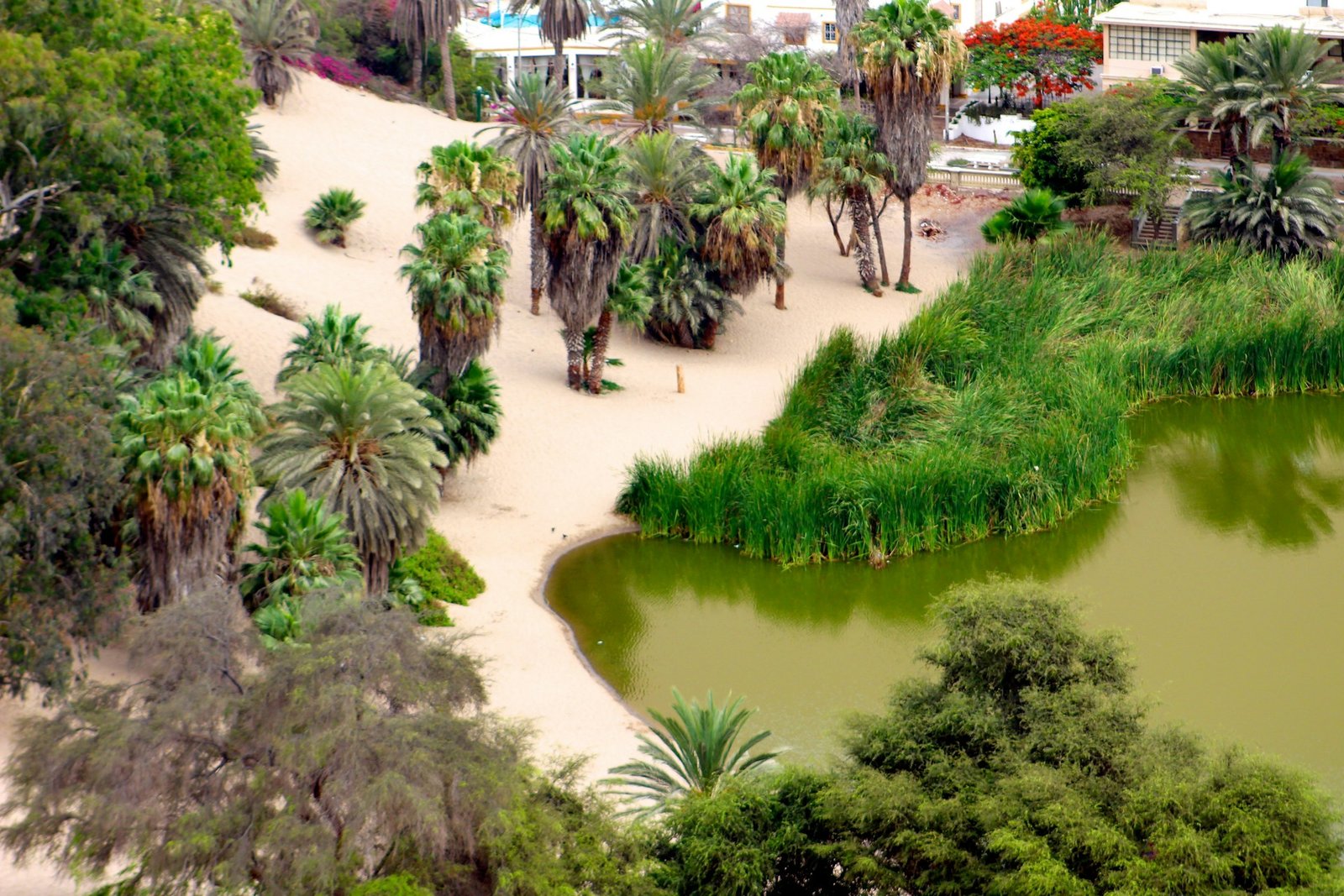 Tunis, Sandra Gabriel, Unsplash