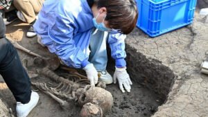 Excavación en arquelógica China, Xinua News Agency 