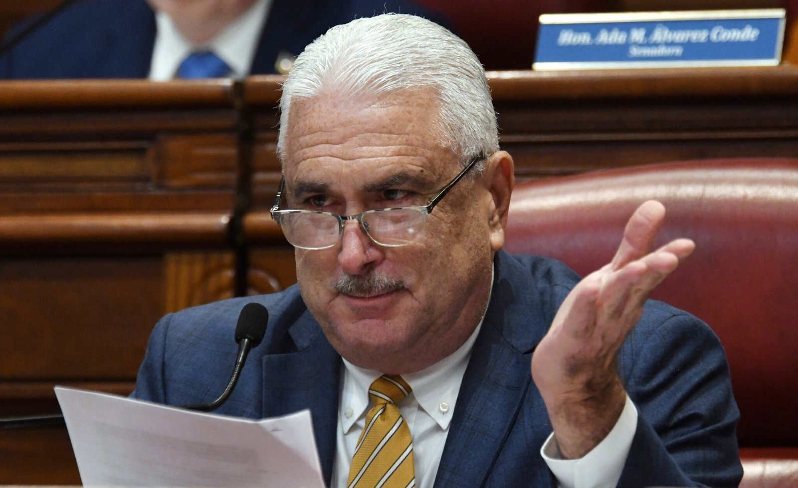 Senador Thomas Rivera Shatz, Ana María Abruña, CPI