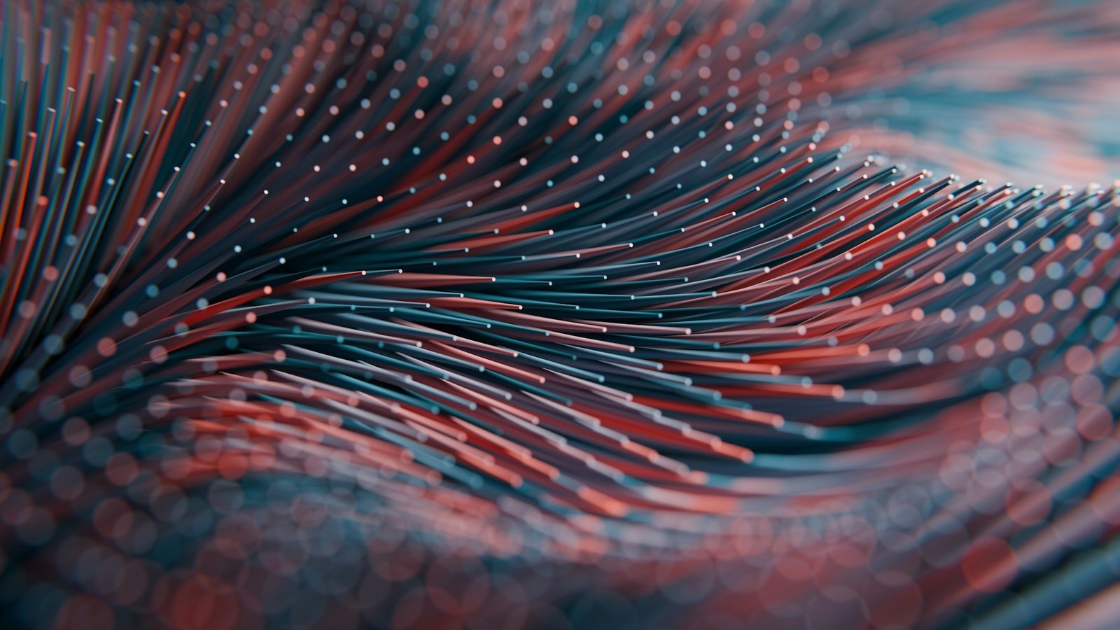 Textil AI, A Chosen Soul, Unsplash