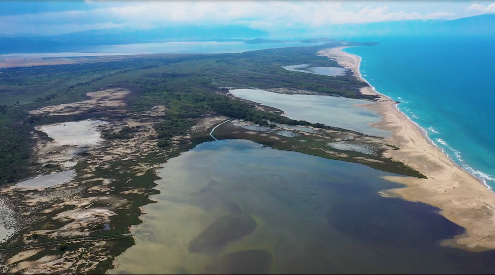 Viola Delta, ANP Pishë Poro–Narta, Albania, EcoAlbania.org