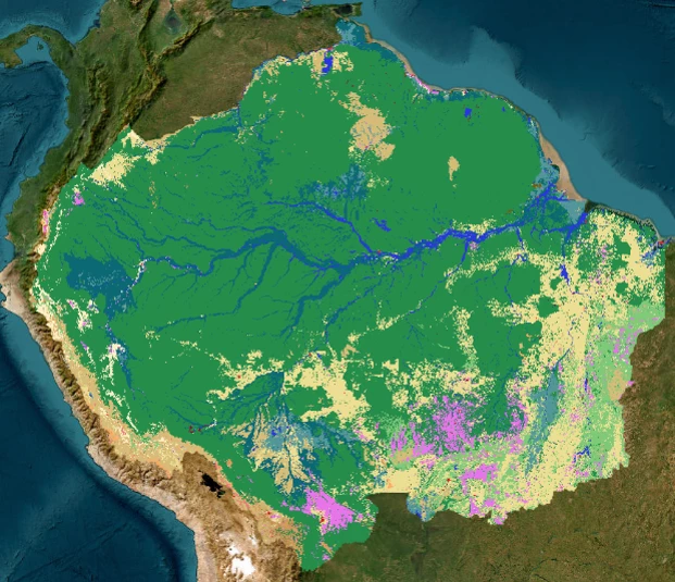 Fuente: MapBiomas (2023) Notas: En color morado, las áreas sin vegetación; en color amarillo, las áreas destinadas a la agricultura, la ganadería y la silvicultura; en color amarillo oscuro, las formaciones naturales no forestales; y en color verde, los bosques..
