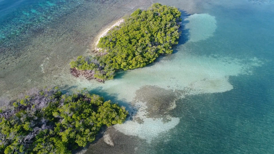 Cayito en Reserva Natural La Parguera, Lajas, Puerto Rico | Captura de pantalla de la serie Reservas naturales: patrimonio y legado del pueblo de Puerto Rico