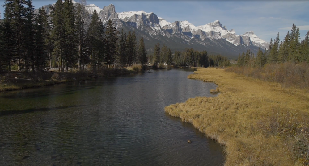Naturaleza de Canada, captura de pantalla video Ministro de Medioambiente Canadá. https://www.youtube.com/watch?v=NUc8IdL60Mc&t=16s