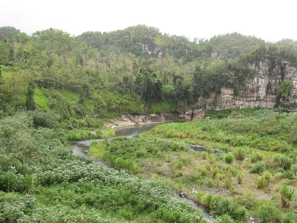 Río Grande de Manatí, The Eloquent Peasant, CC BY-SA 4.0 , via Wikimedia Commons