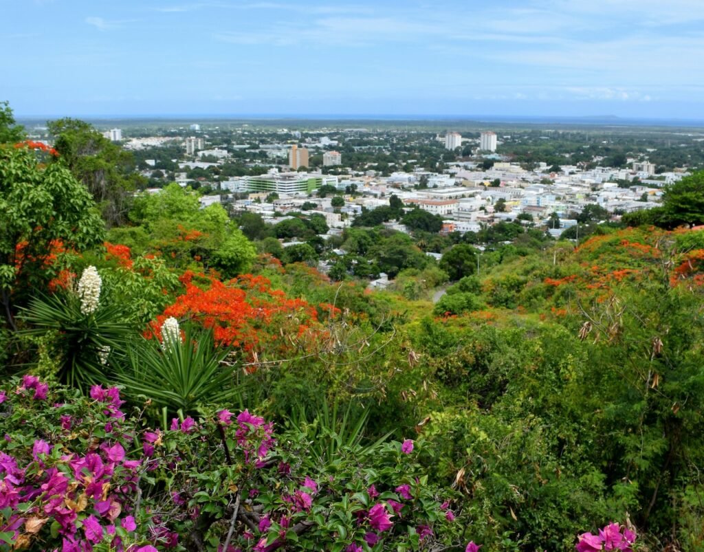 Ponce, Allison Murray, Unsplash.